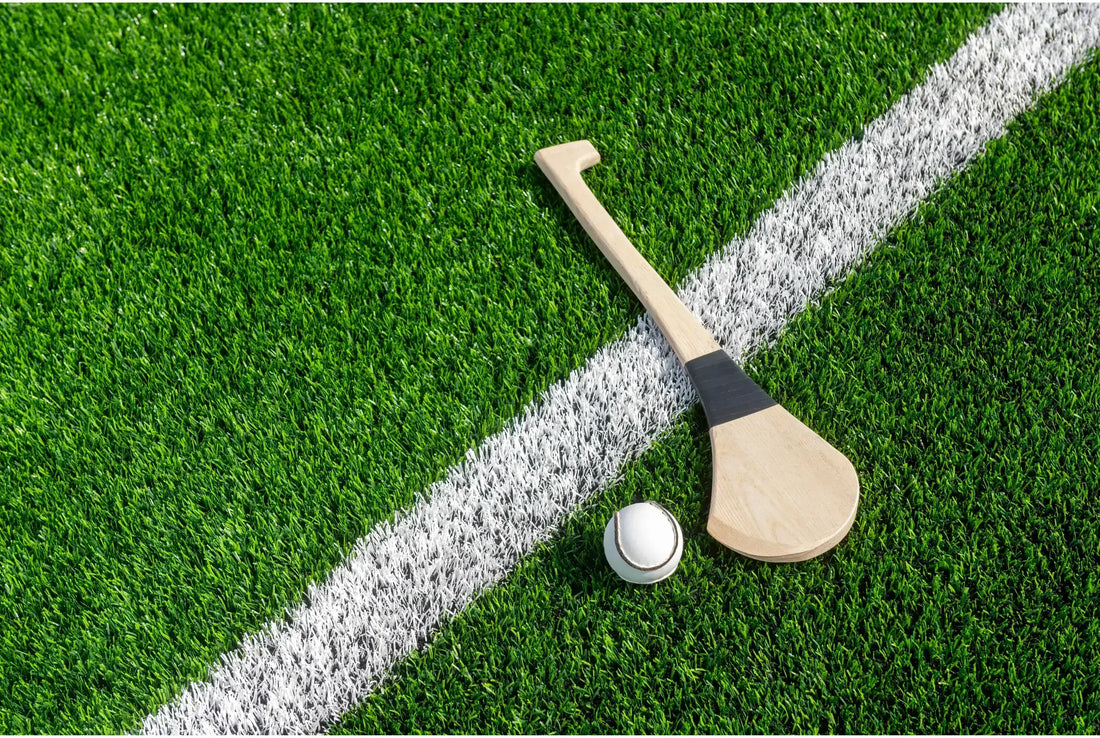 The Forgotten Camán: Discovery of the Oldest Hurleys of Ireland